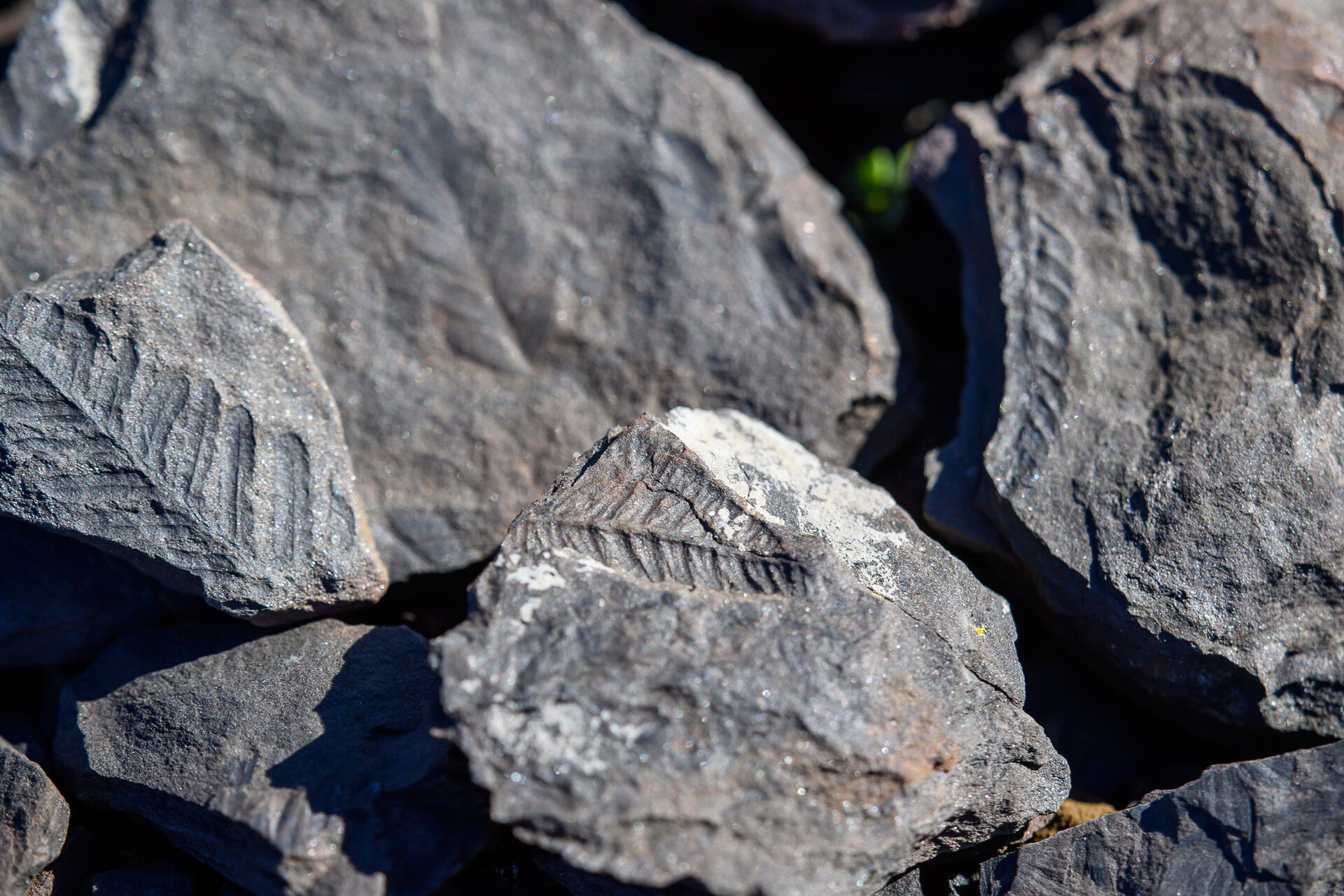 Le Géoparc Terres d’Hérault