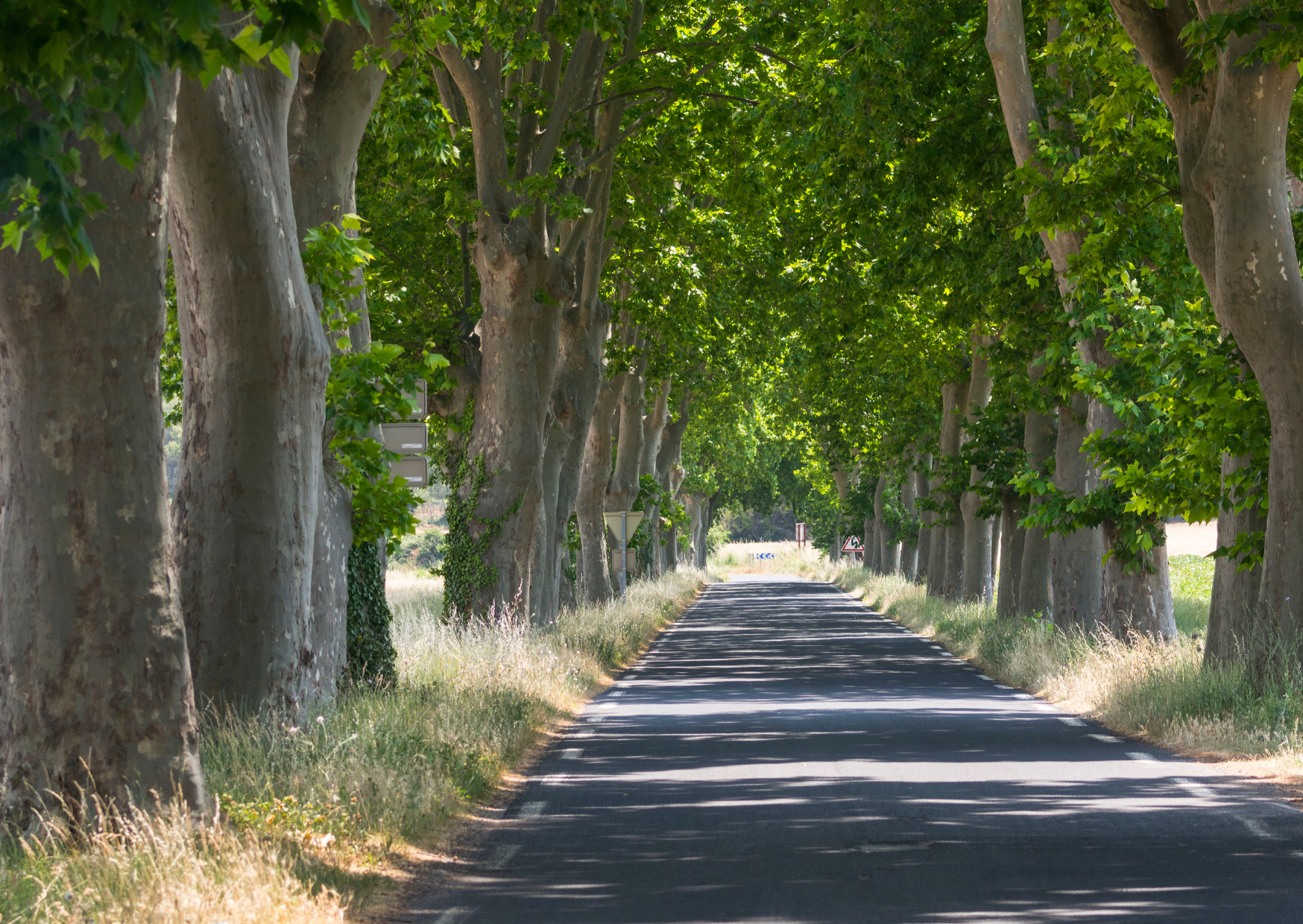 Comment le Département gère-t-il les routes ?